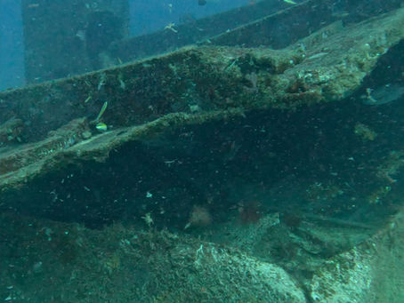 Casetas, part of Chairel Shipwreck, located in Isla Mujeres.. An ill-fated car ferry deliberately sunk in bad weather in 2000.