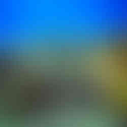 A section of the vibrant San Toribio Reef