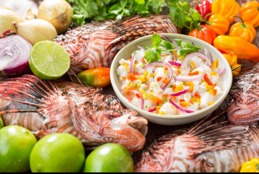 Prepared lionfish dish served as ceviche, showing the fish is safe and commonly eaten.