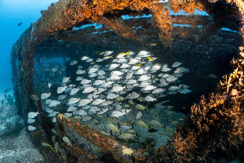 photo credit @jamie_justaddwater