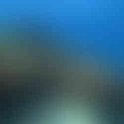 Beautiful reef formations at Banderas Reef