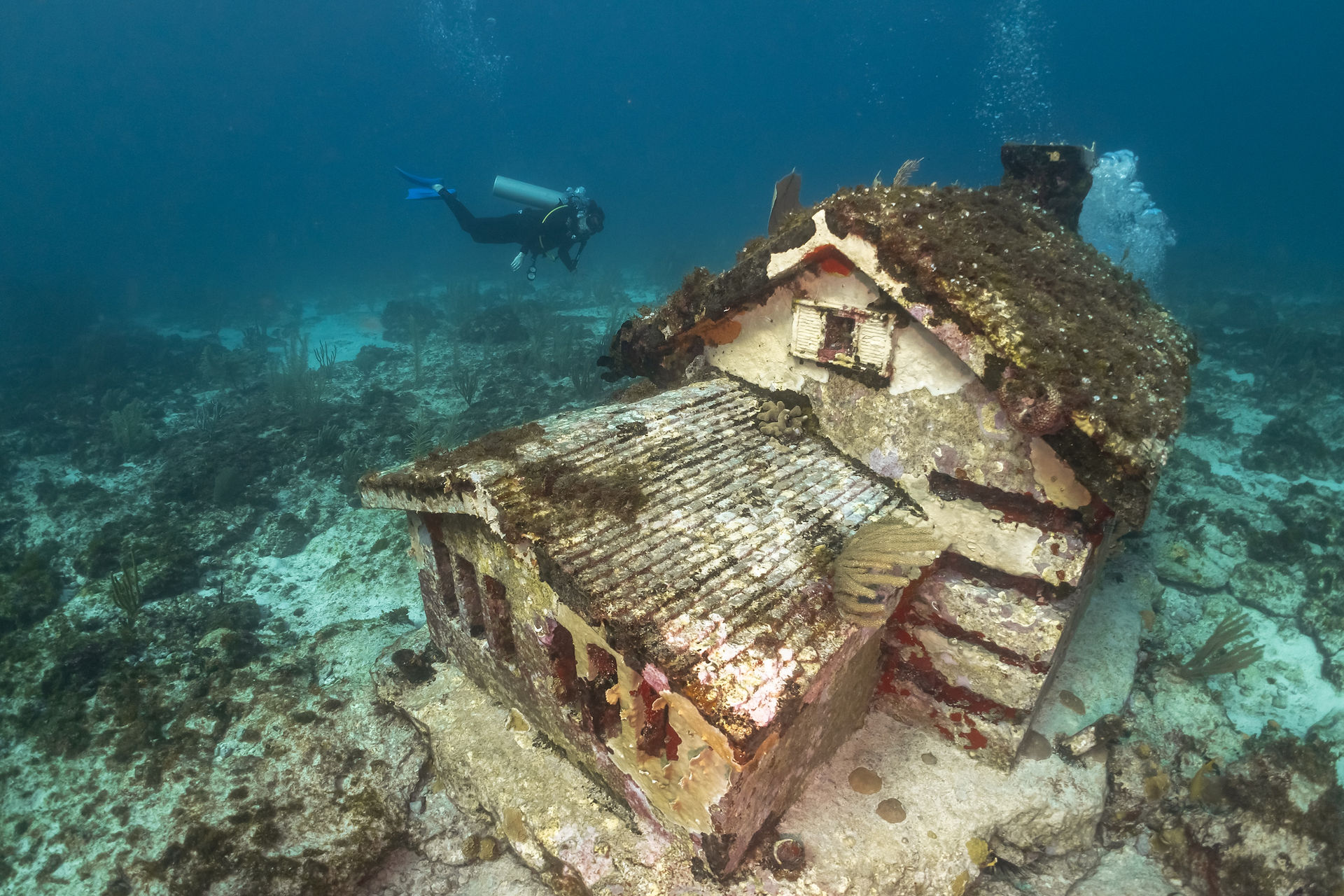 Divers at Casitas, Isla Mujeres, Mexio