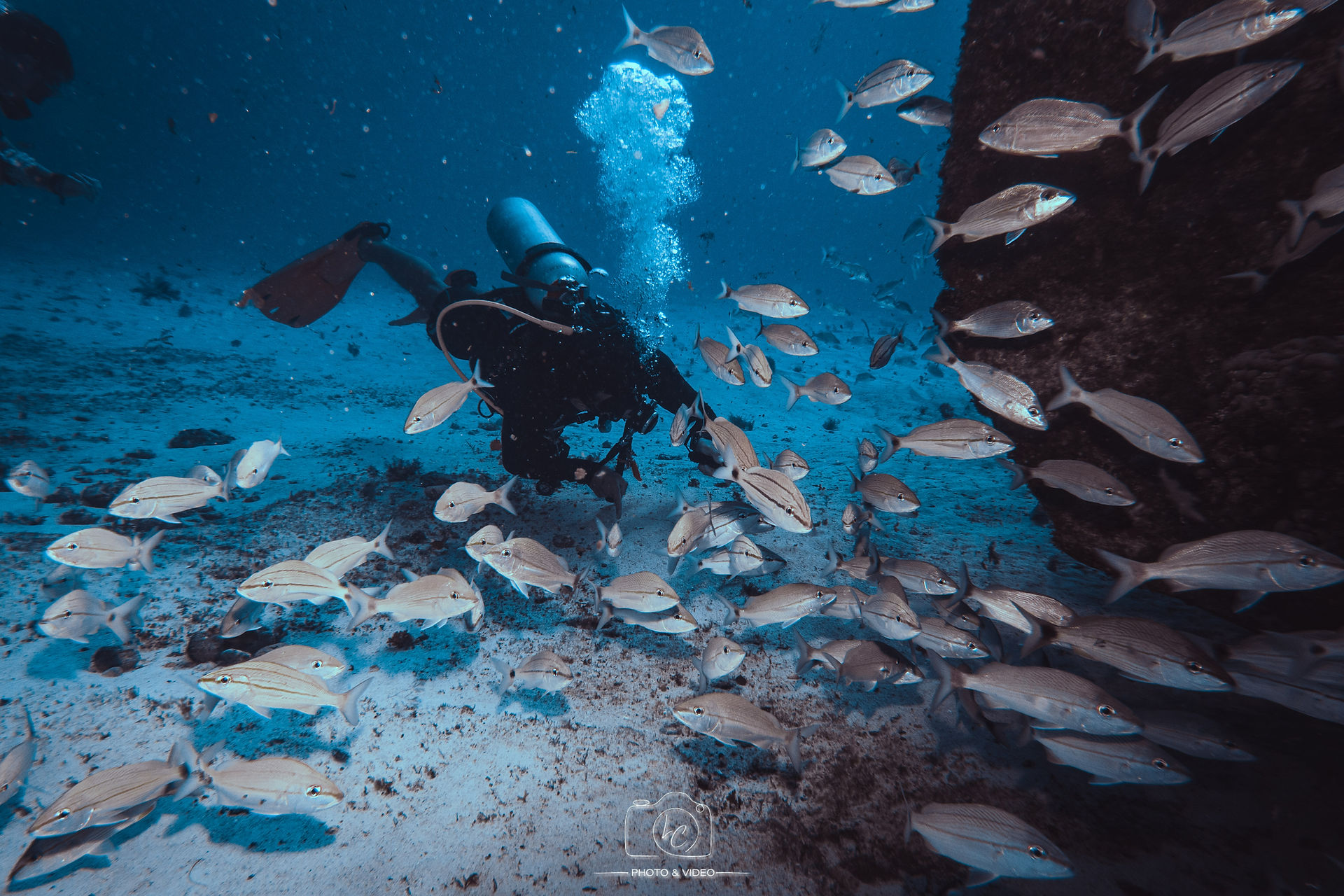 Diver and fish at shipwreck Hondureño, Isla Mujeres