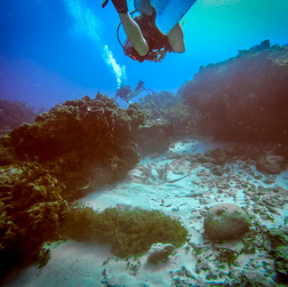A diver over San Toribio Reef. You can see part of the old shipwreck at the end of this photo
