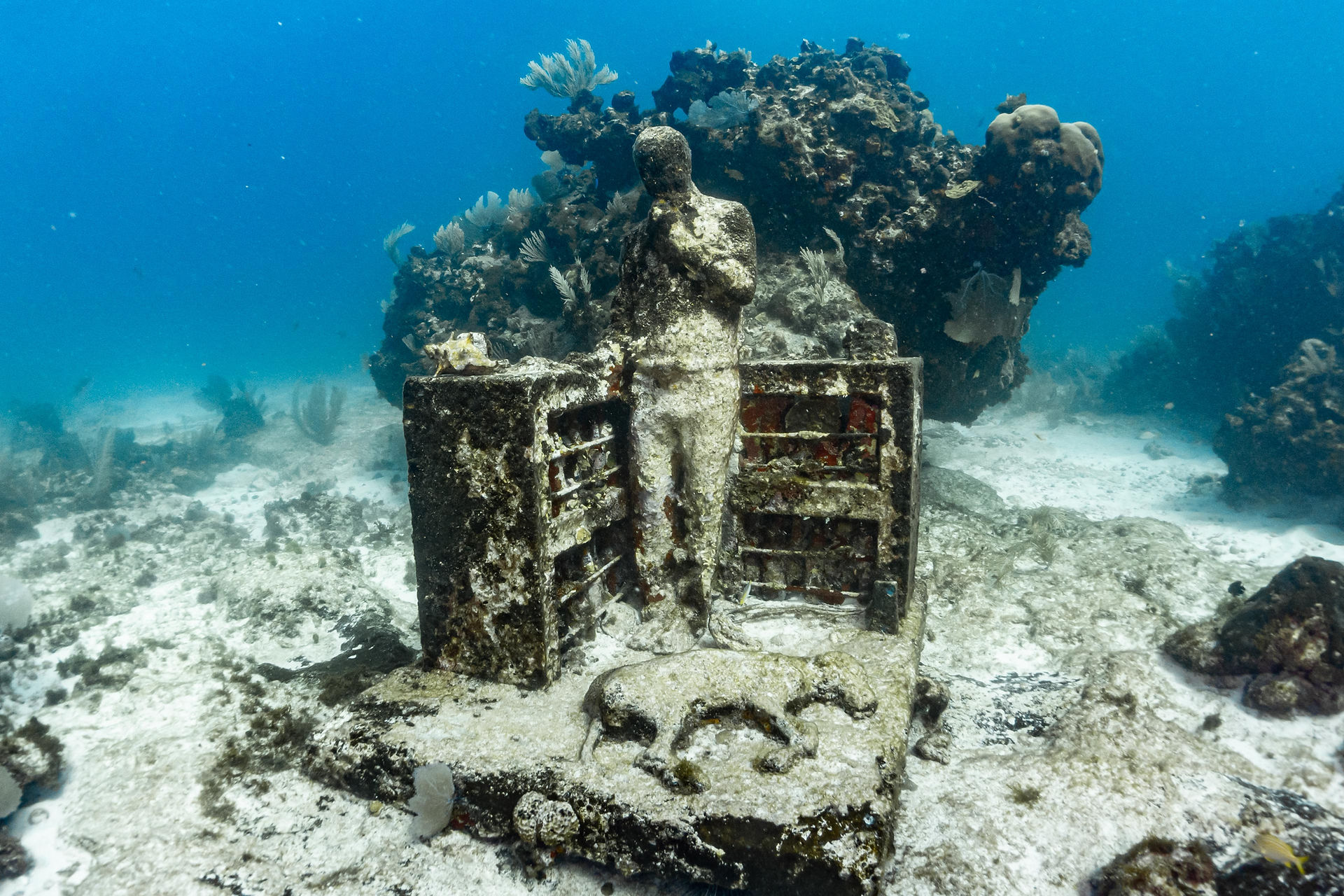 The Dream Catcher, Isla Mujeres