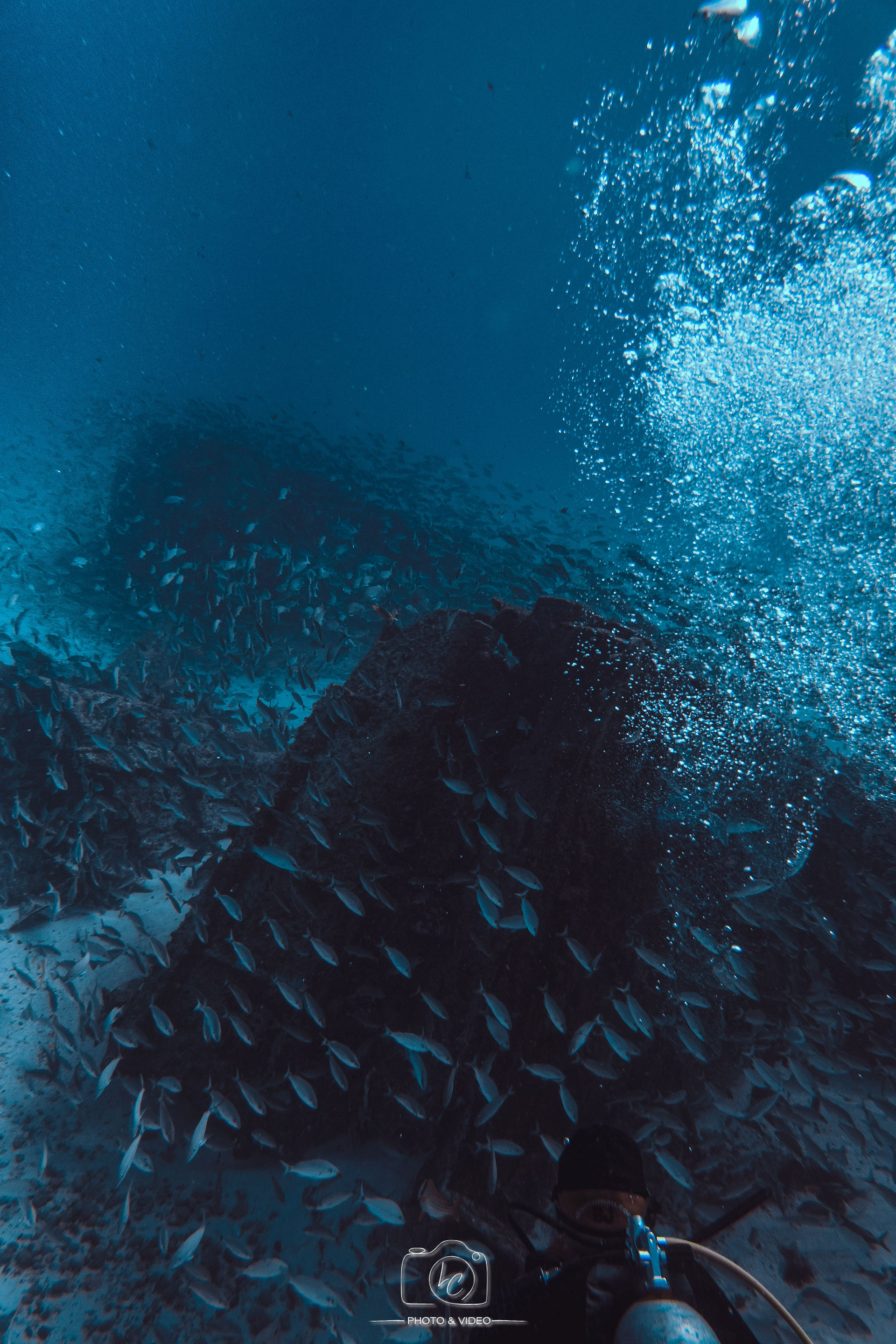 Diver at Hondureño shipwreck, Isla Mujeres with lots of fish