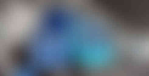 การขนส่งโดยเจ้าของบริษํท