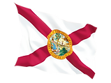 florida flag.png