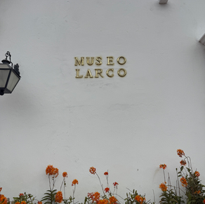 A Feminine Reflection on my visit to Museo Larco in Lima, Peru, and the Healing Power of Art