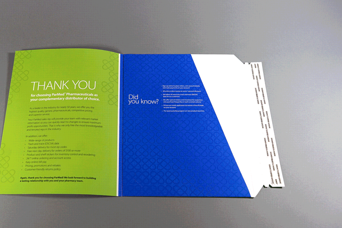 Folder Designing Service By Shreeshaya IT Services