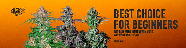 Fast Buds Coupon Code Discount Code