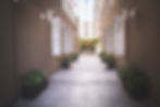Asset Development & Marketing