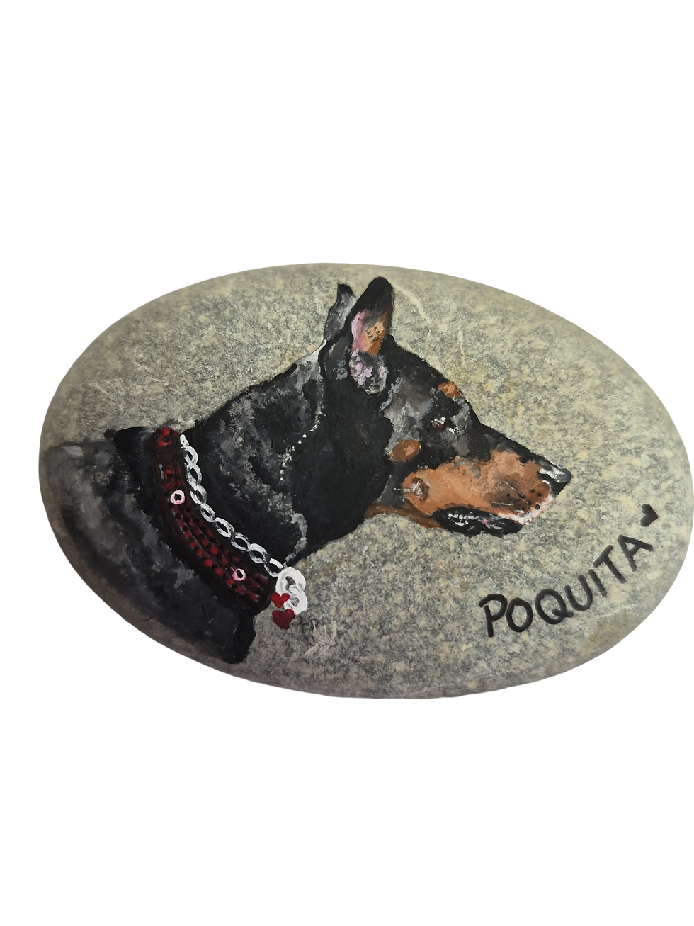 Pet Rock 1