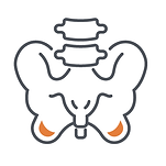 PPT-pelvic-PT-01.png
