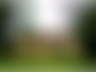 Passeios ao Ar Livre em SP para Dias Nublados: Desfrute da Cidade com Outro Olhar