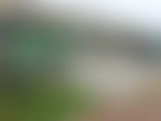 Roteiro de Observação da Cidade: Natureza + Urbano