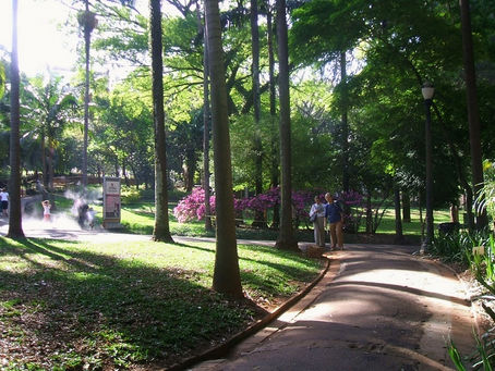 Jardins Públicos e Espaços Paisagísticos em São Paulo