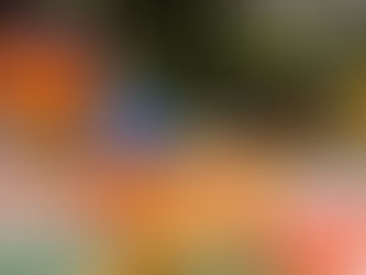 SP ao Ar Livre para Crianças