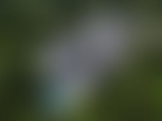 Hotéis e Pousadas Românticas dentro de São Paulo: Refúgios Urbanos para o Amor