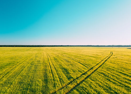 scenic-view-agricultural-field-against-clear-sky.jpg