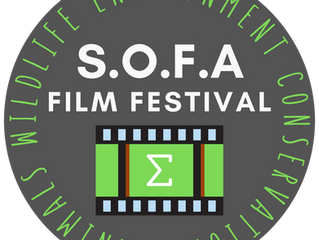 Exciting New Changes