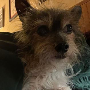 Oscar - November 2008 - September 2023