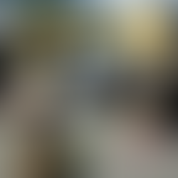 Shoppers browsing local produce, baked goods, and handmade items at the St. Augustine Farmers Market held at Classic Car Museum of St. Augustine on a sunny Sunday morning.