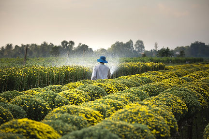 A farmer waters his farm on a hot and sunny day.