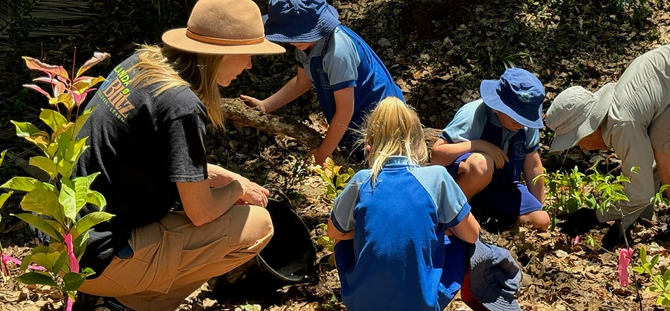 Malanda Bioblitz_2_cropped.JPG