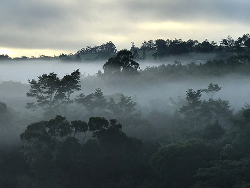 Banner - Carbon Farming.jpeg