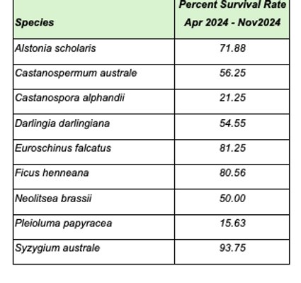 Table 2 Cinder Cone.png