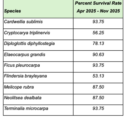 Table 3 Cinder Cone.png