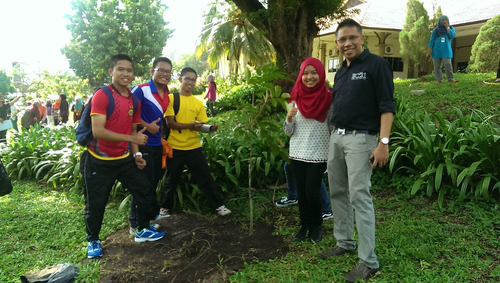 Planting Trees Junior HBP