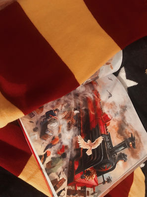Why Hogwarts Houses Mean So Much to Me