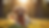 Wide angle view of a happy golden retriever playing with a toy