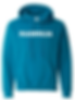 PULLOVER HOODIE (Y1), Turquoise. No writing on back. $40
