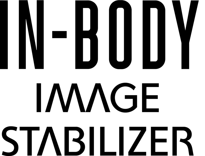in-body.gif