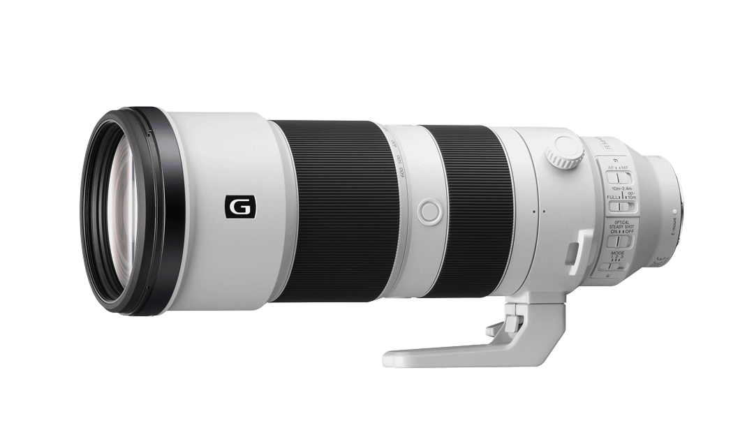 SEL200600G_A-Large.gif