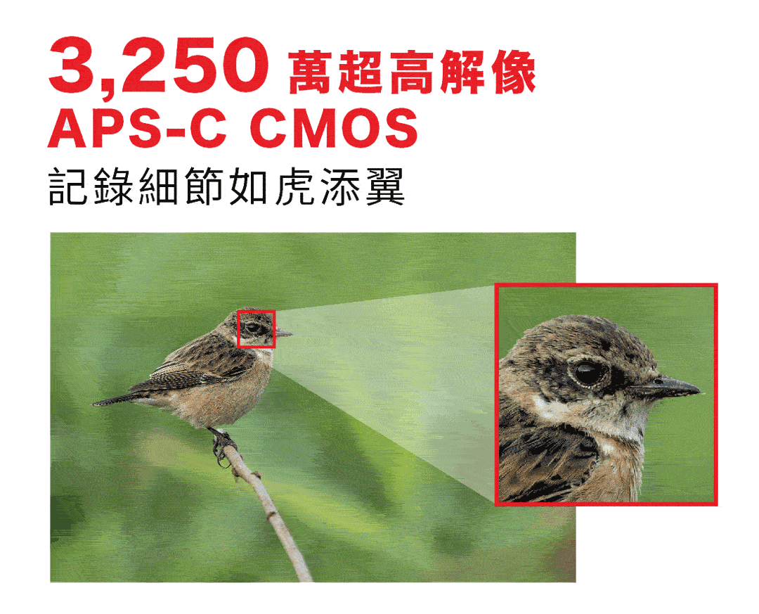 EOS_90D_Flash_Sale_tentcard_A4_v2-02.gif