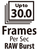 G5XII_30FPS-icon.gif