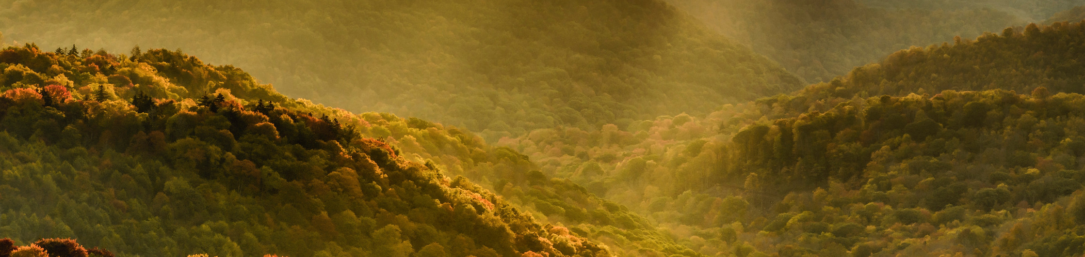 For Whom the Savior Bled - by Chris Curry