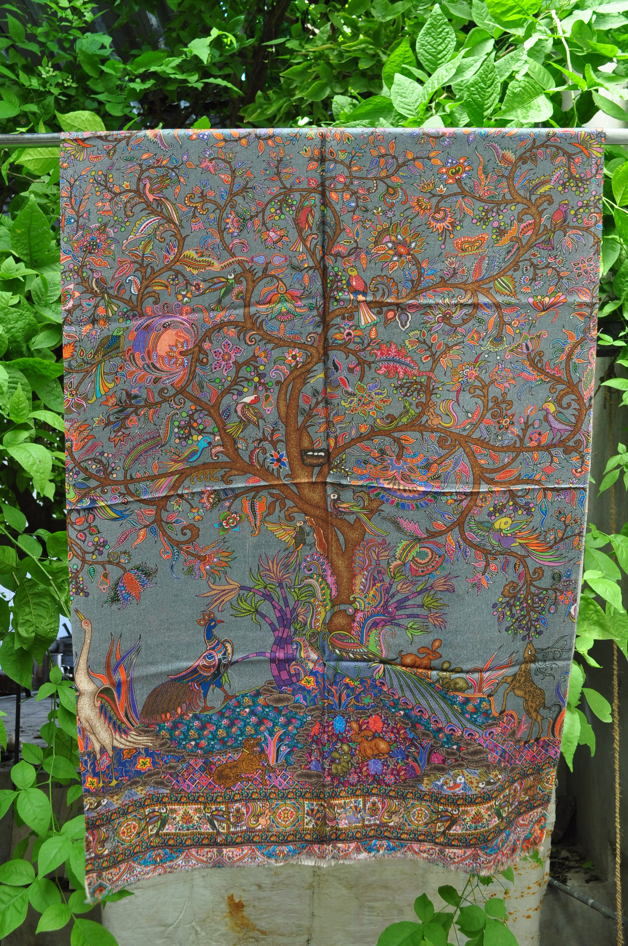 Kotsa | Woman Soft Scarf | Scarf Wrap For Women | Scarf For Winter | KC126