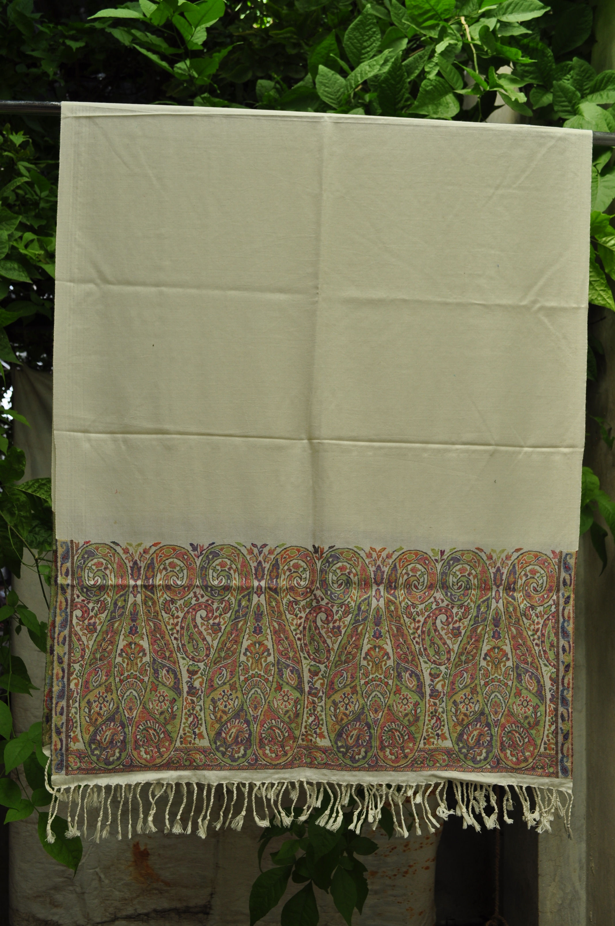 Kotsa | Woman Soft Scarf | Scarf Wrap For Women | Scarf For Winter | KC98