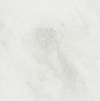 White Background_edited_edited_edited.jpg