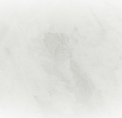 White Background_edited.jpg