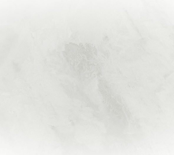 White Background_edited.jpg
