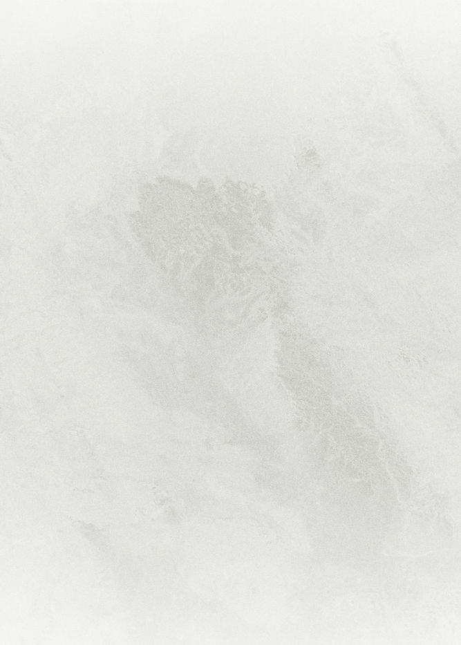 White Background_edited.jpg