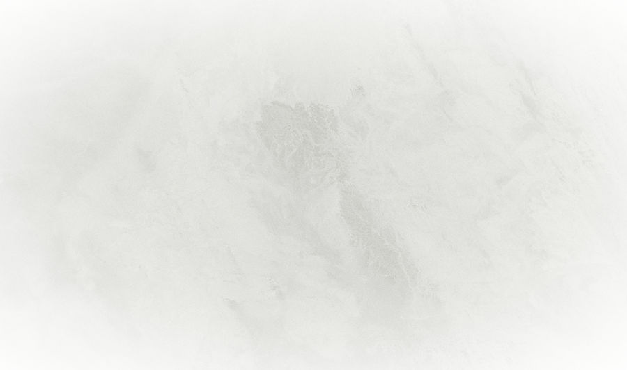 White Background_edited.jpg