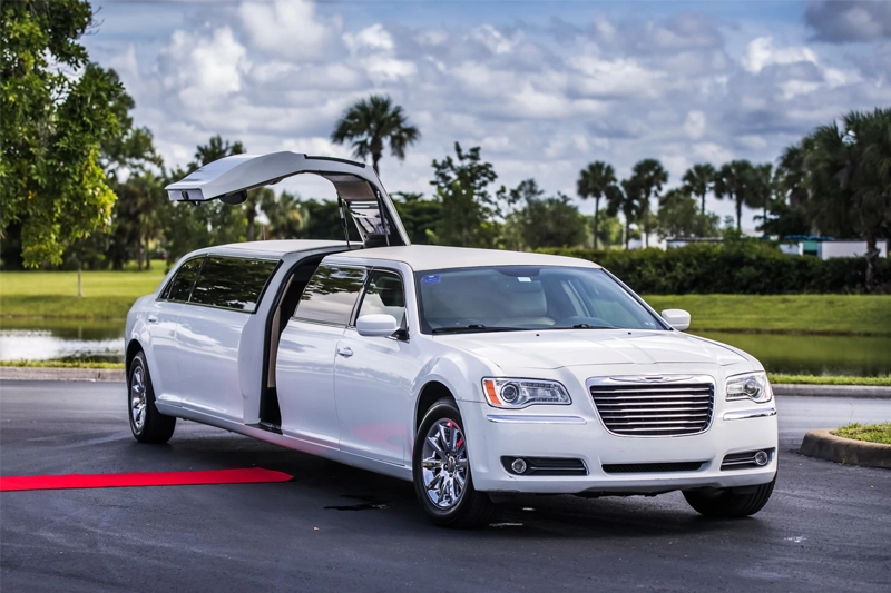 Birthday Limousine Packages.webp