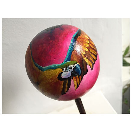 guacamaya1.jpeg